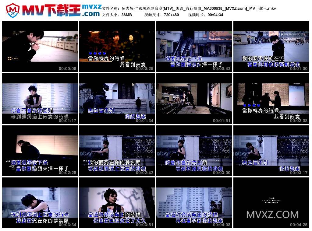 凌志辉-当孤独遇到寂寞(MTV)_国语_流行歌曲_MA300538